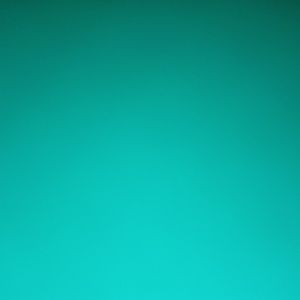 Meet your Posher, Kyla